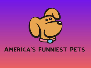America's Funniest Pets 