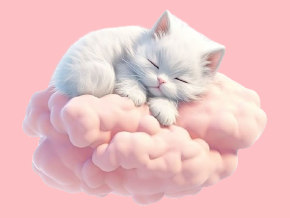 Cat Tv - Relaxing Cat Videos