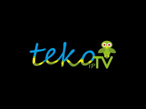 Install TekoIPTv on your Roku Device