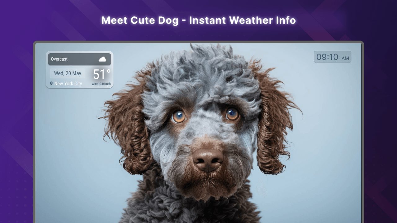 Cute Dog Portrait Screen Saver TV App Roku Channel Store Roku