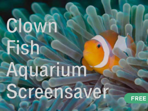 best aquarium screensaver roku