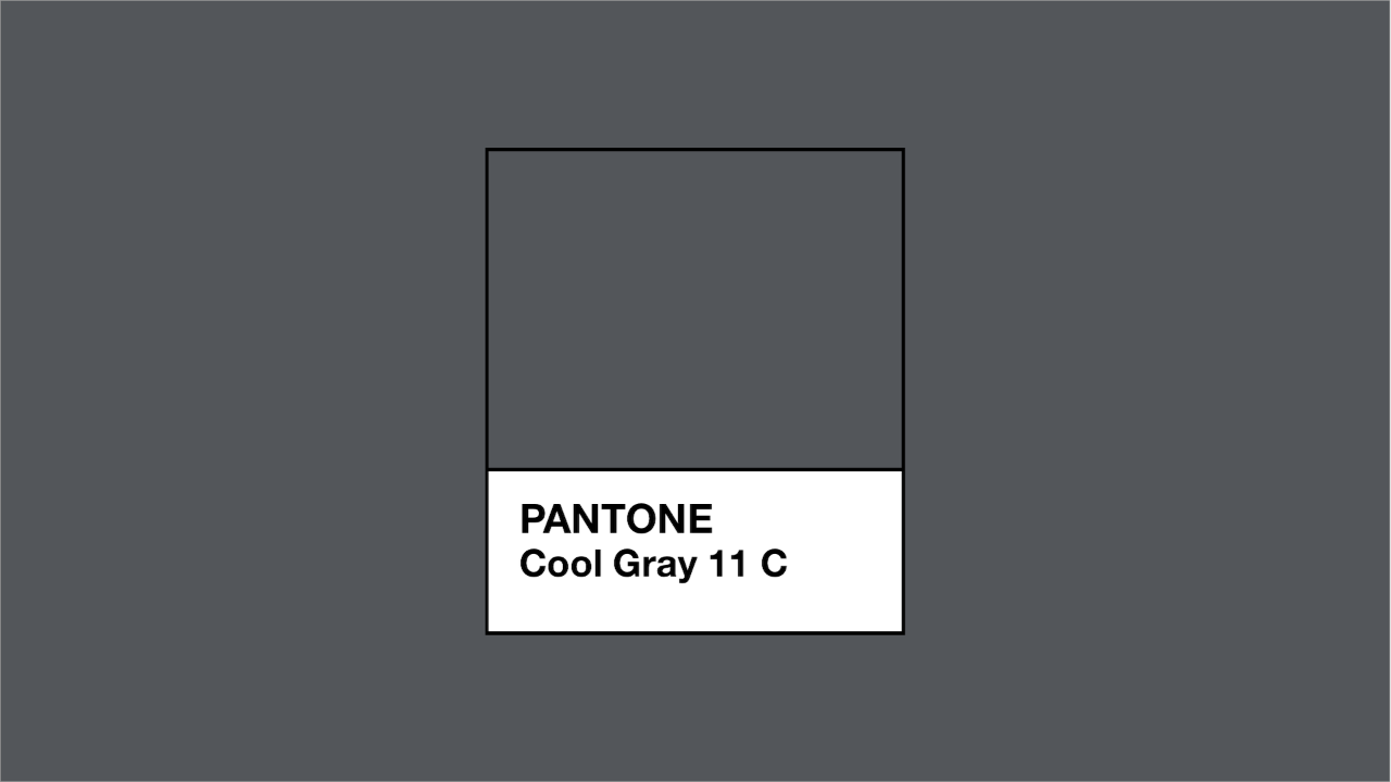 cool gray 11