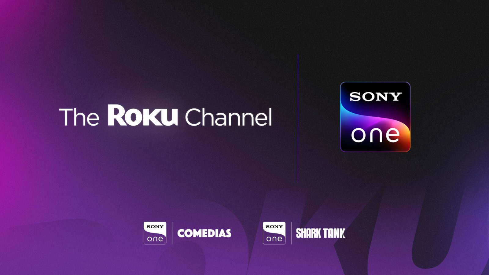 Qué es el Roku TV y cómo funciona? - El Sol de Puebla  Noticias Locales,  Policiacas, sobre México, Puebla y el Mundo