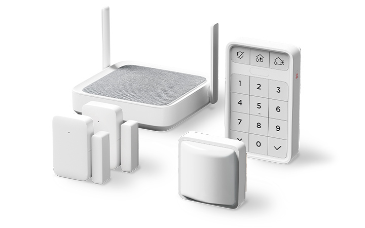 Roku Home Monitoring System SE